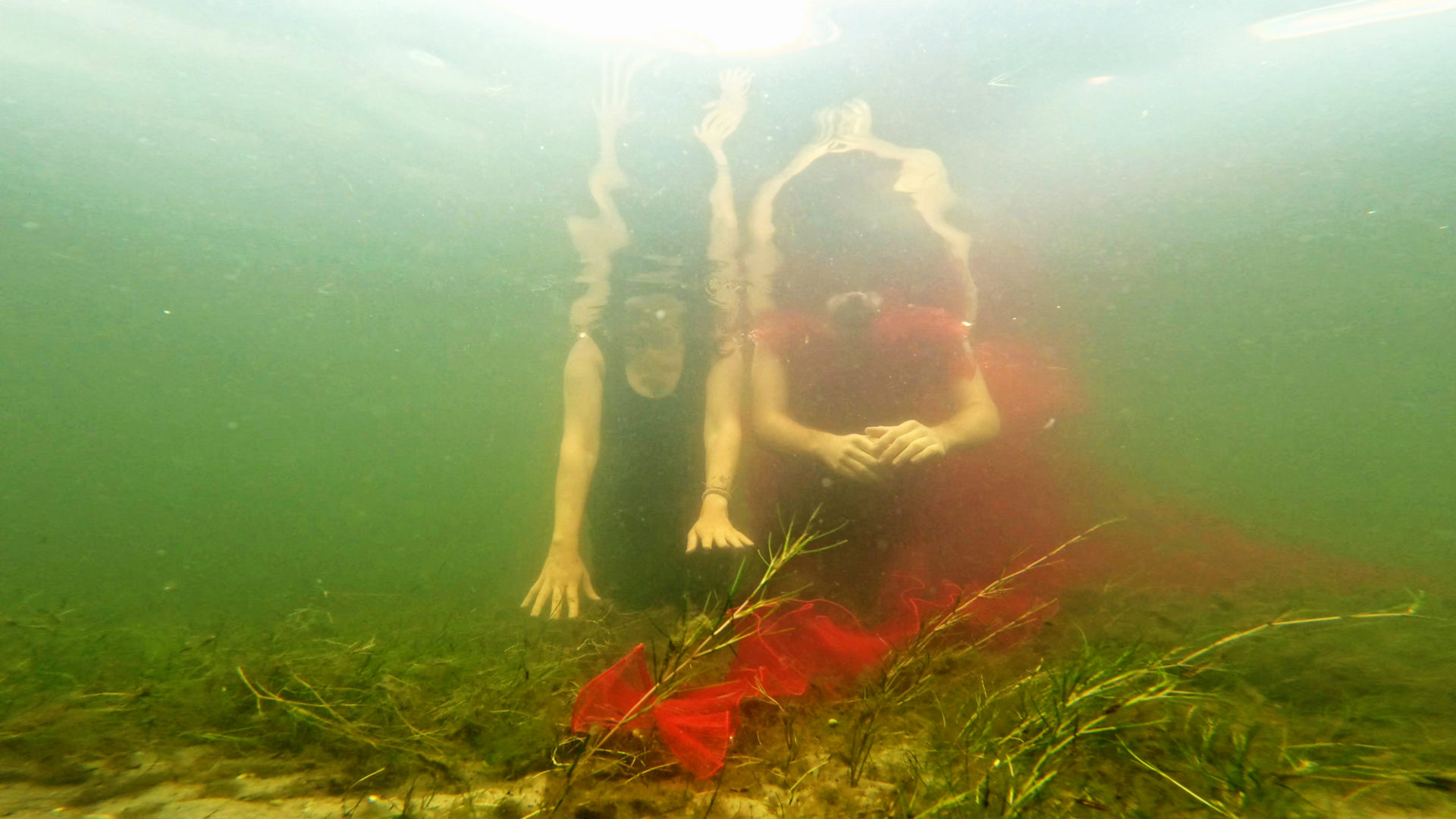 dwie osoby zanurzone pod wodą
